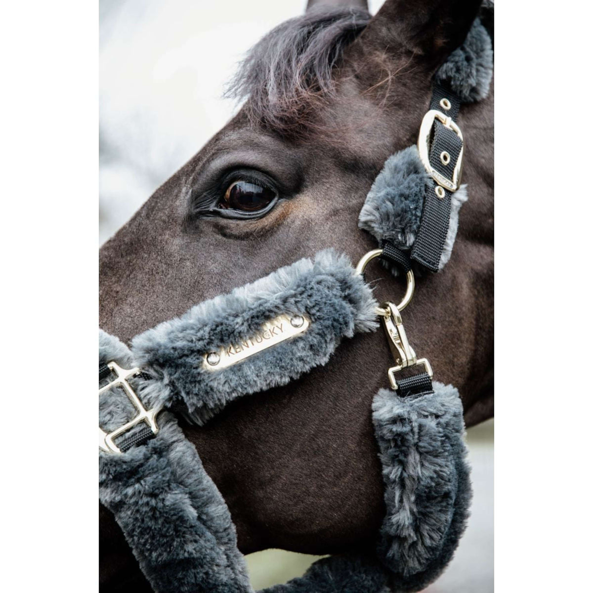 Kentucky Horsewear Cabezada Sheepskin Gris