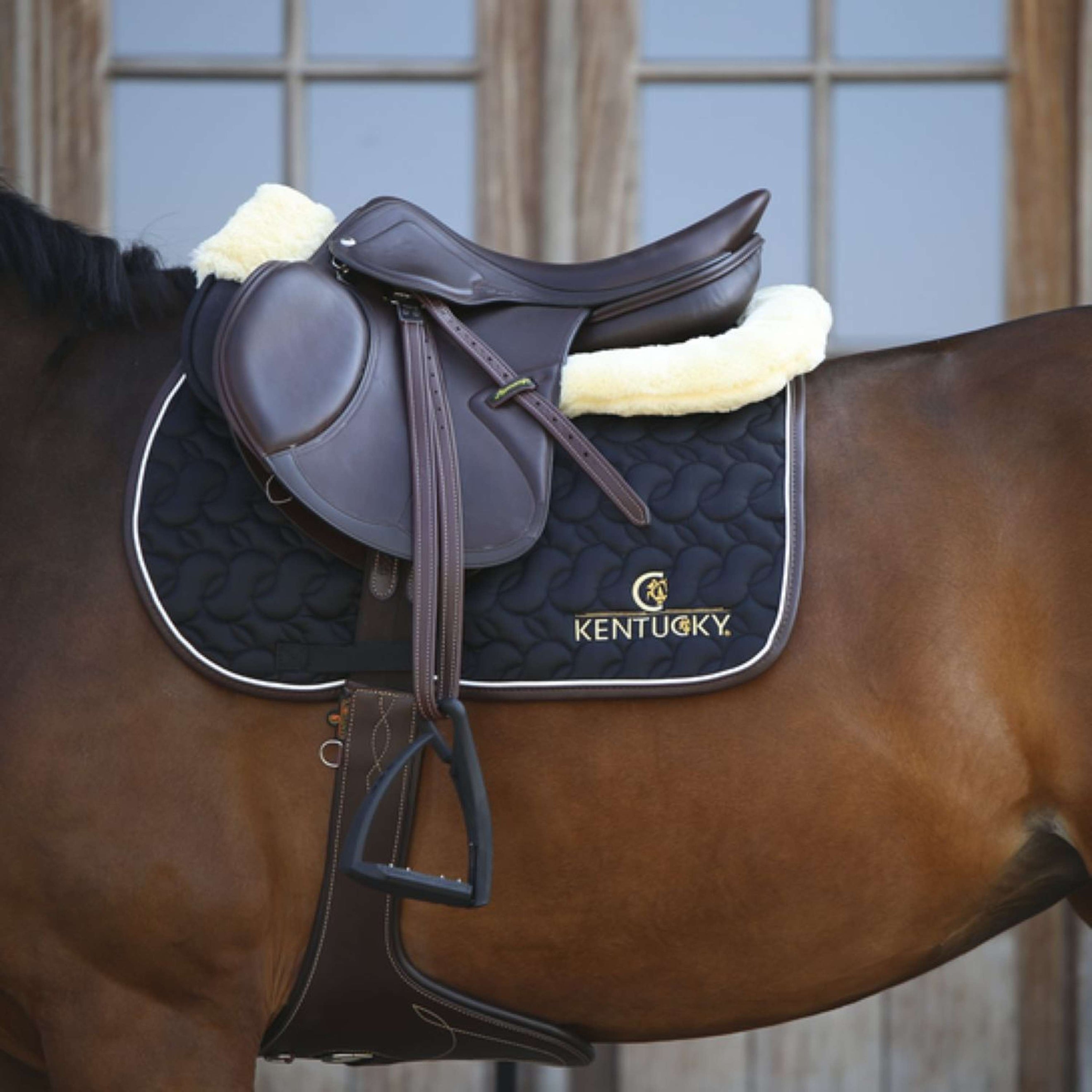 Kentucky Horsewear Cincha de Salto Marron