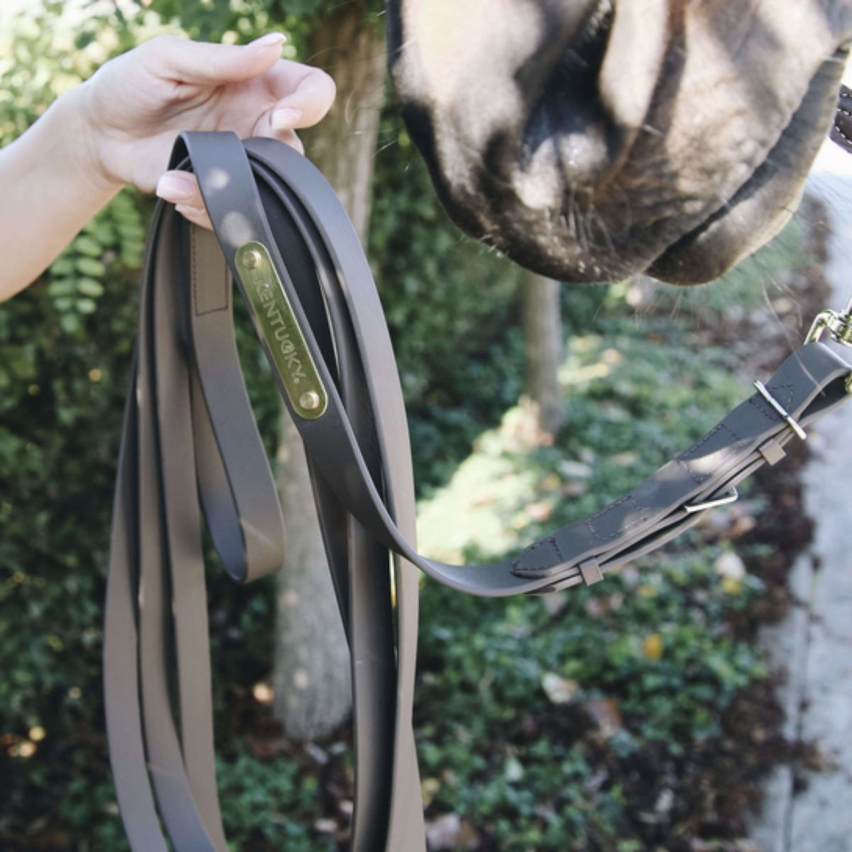 Kentucky Horsewear Cadena de Exhibición Marron