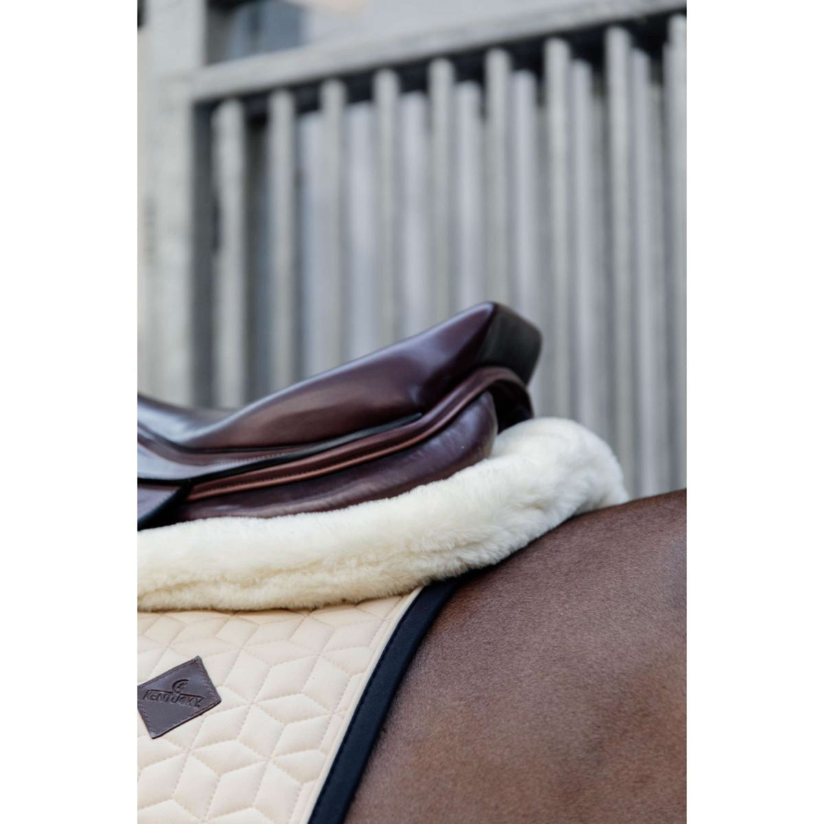 Kentucky Horsewear Mantilla Impact Equalizer Piel de Oveja Negro