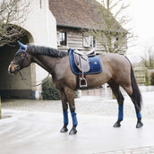 Kentucky Horsewear Mantilla Basic Velvet Doma clásica Navy