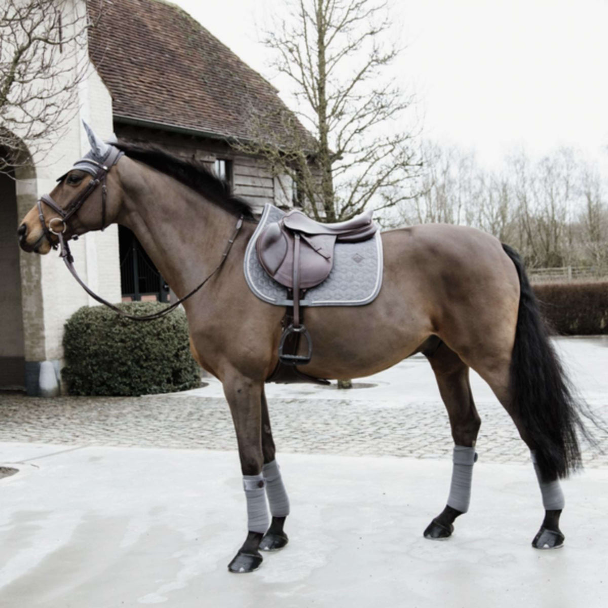 Kentucky Horsewear Mantilla Basic Velvet Springen Gris