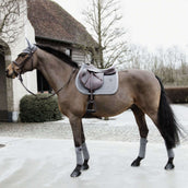 Kentucky Horsewear Mantilla Basic Velvet Springen Gris