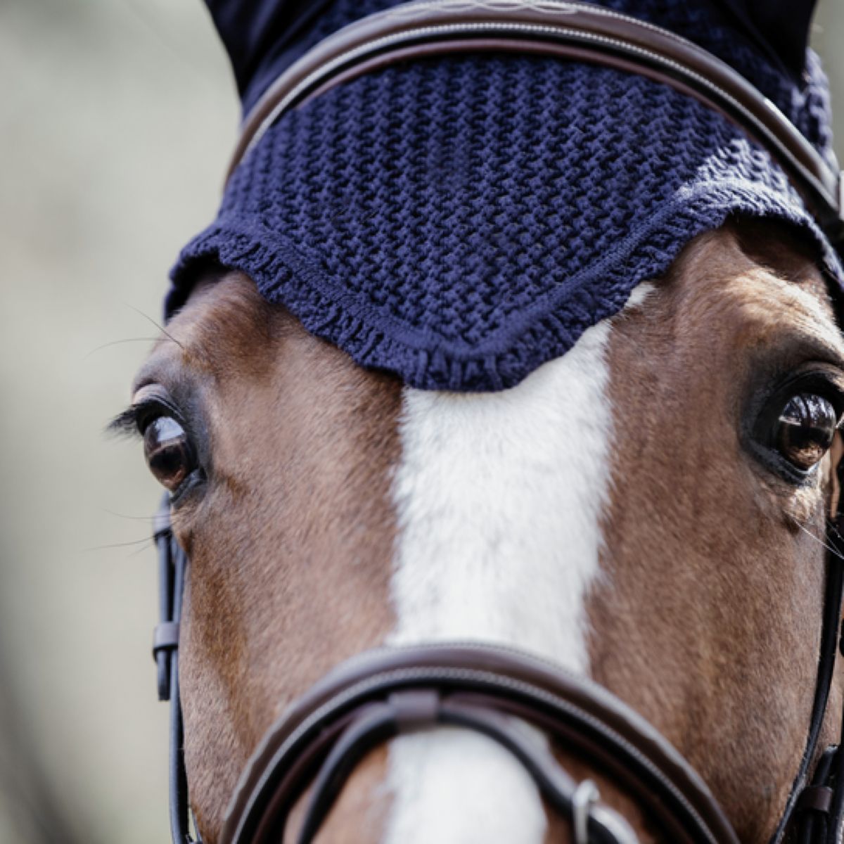 Kentucky Horsewear Cubre orejas Soundless Dark Navy