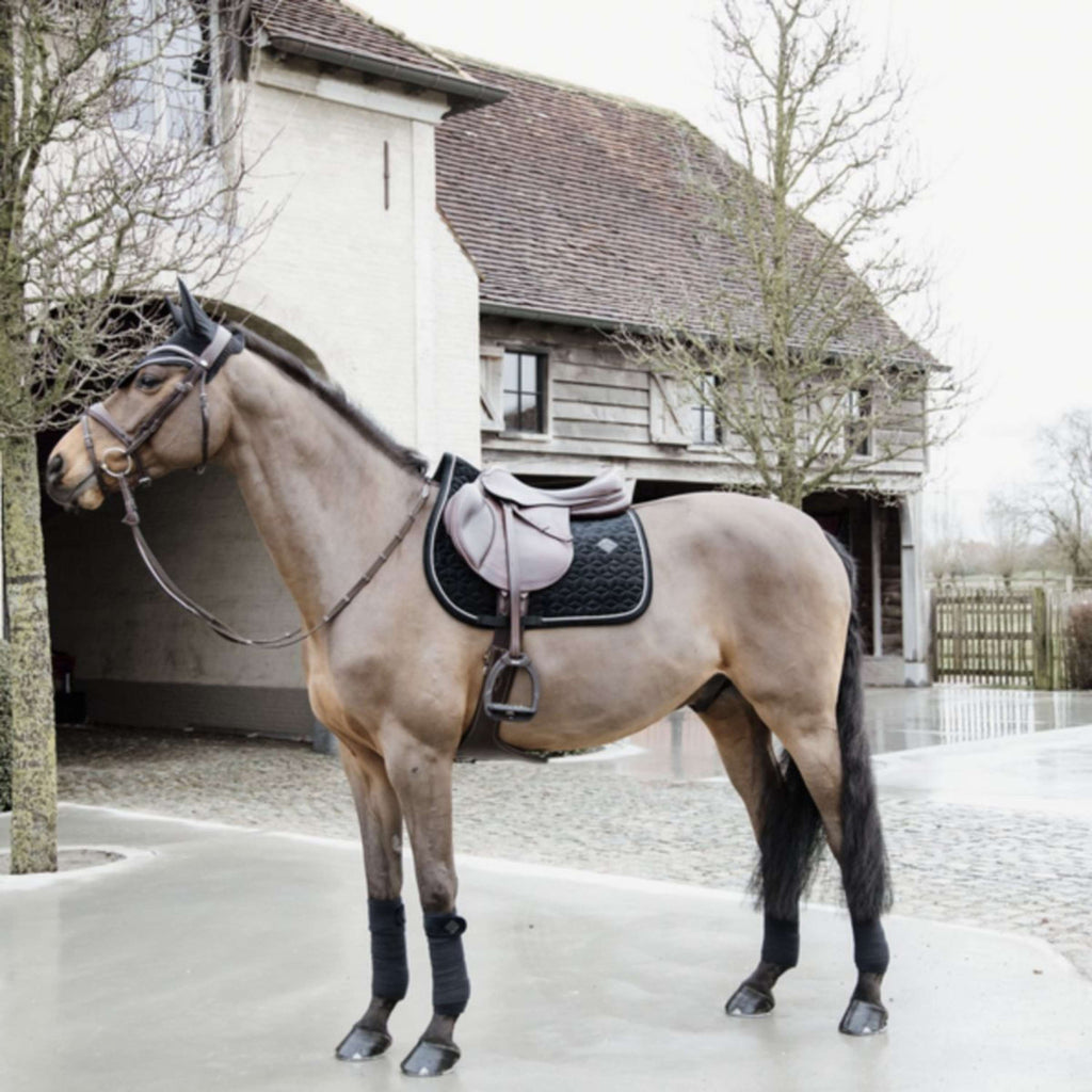 Kentucky Horsewear Bonete para Orejas Wellington Basic Velvet Negro