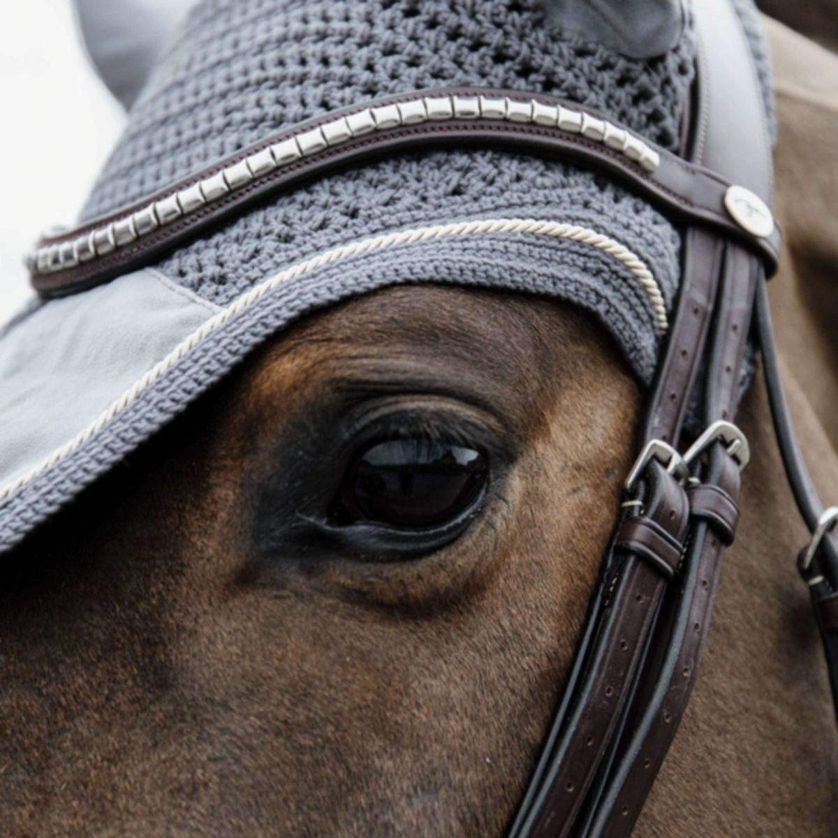 Kentucky Horsewear Bonete para Orejas Wellington Basic Velvet Gris