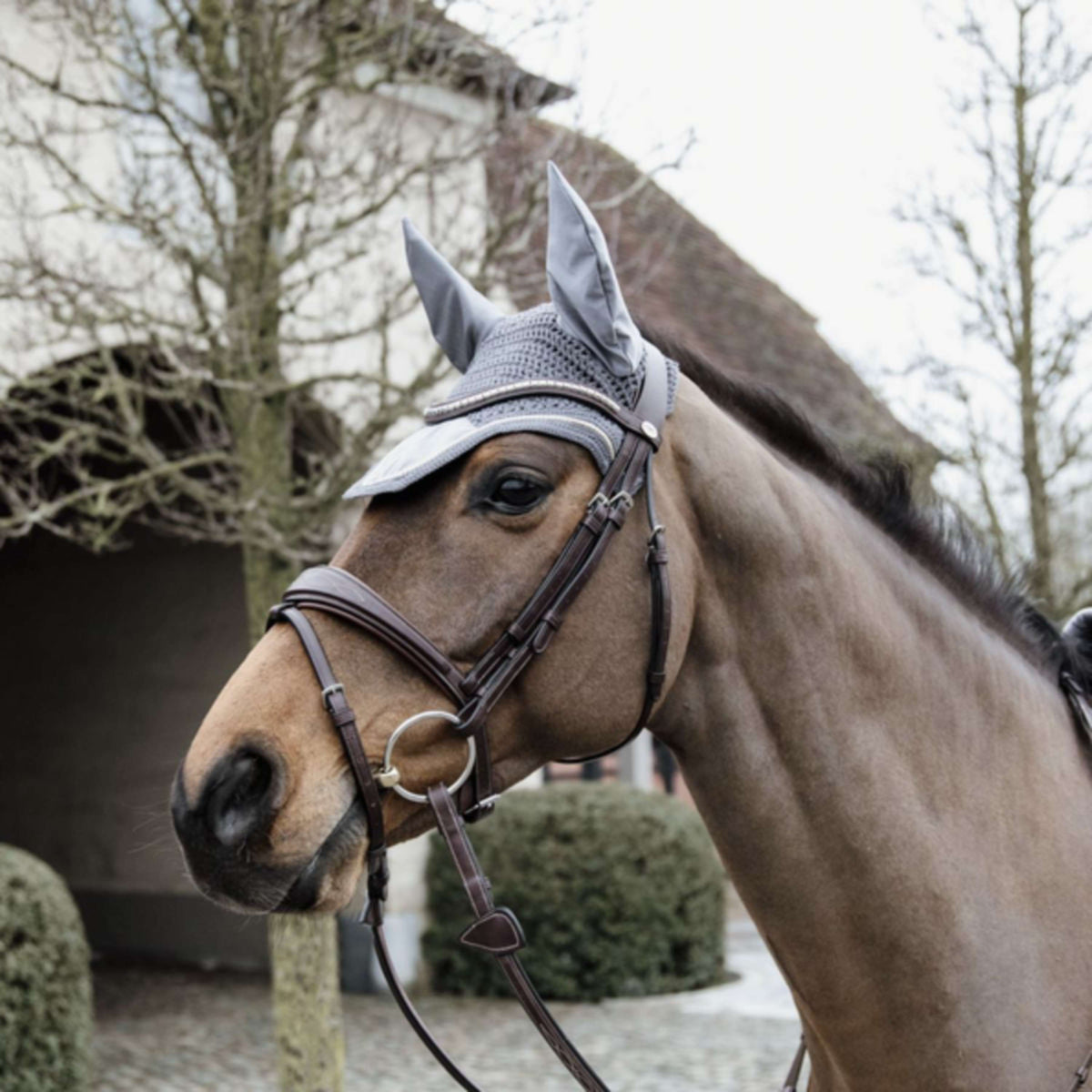 Kentucky Horsewear Bonete para Orejas Wellington Basic Velvet Gris