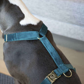 Kentucky Dogwear Arnés Loop Esmeralda