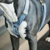 Kentucky Dogwear Arnés Loop Azul claro