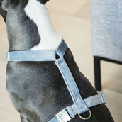Kentucky Dogwear Arnés Loop Azul claro