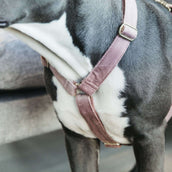 Kentucky Dogwear Arnés Loop Rosa Viejo