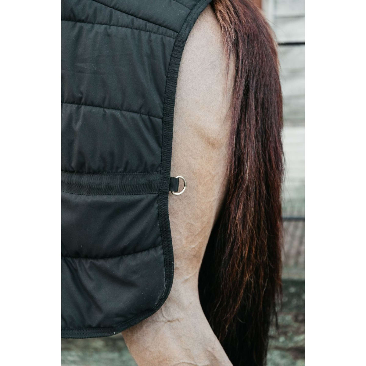 Kentucky Horsewear Bajoalfombra Skin Friendly 150g Negro