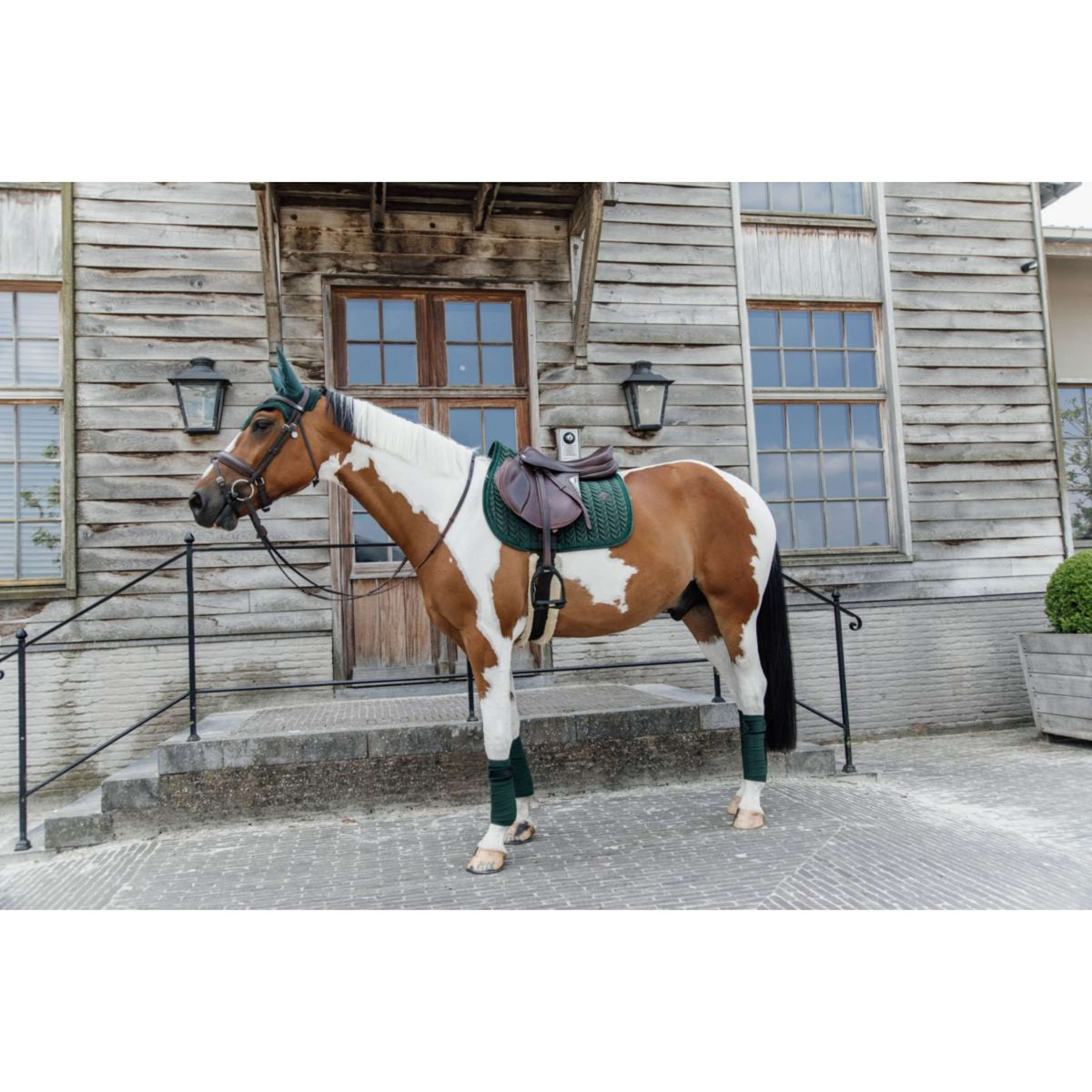 Kentucky Horsewear Mantilla Velvet Pearls Springen Pine Green