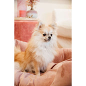 Kentucky Dogwear Cama para Perro Velvet