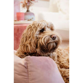Kentucky Dogwear Cama para Perro Velvet