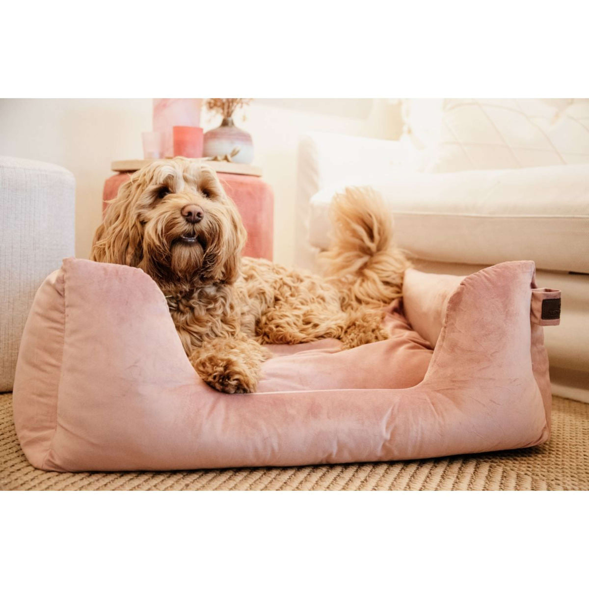 Kentucky Dogwear Cama para Perro Velvet