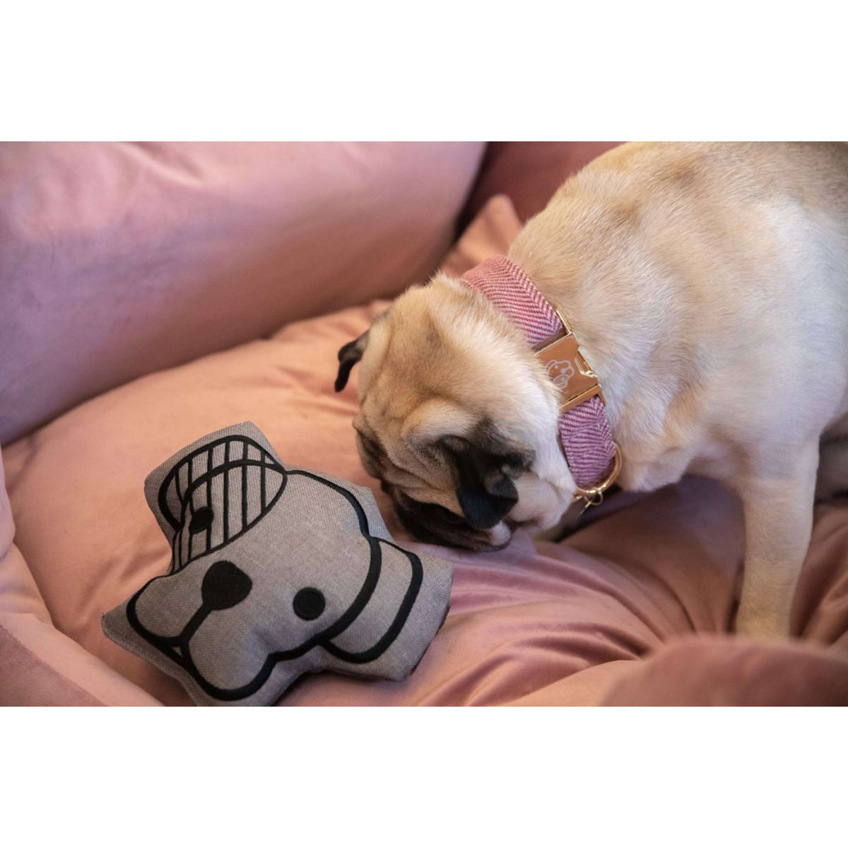 Kentucky Dogwear Cama para Perro Velvet