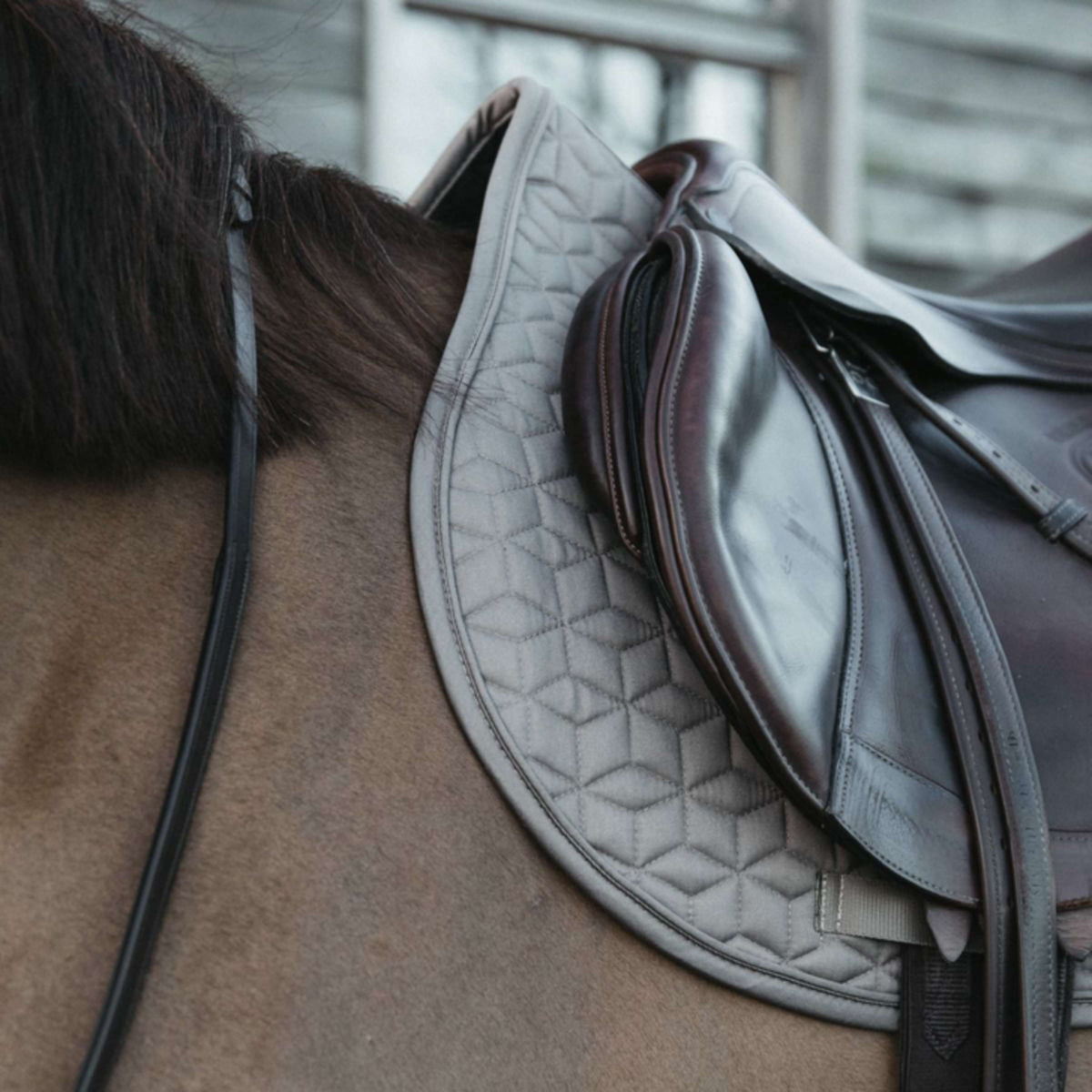 Kentucky Horsewear Mantilla Basic Springen Beige