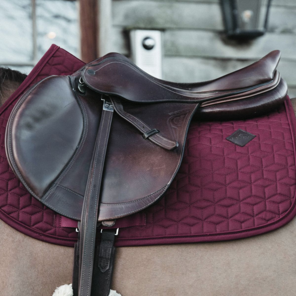 Kentucky Horsewear Mantilla Basic Springen Bordeaux
