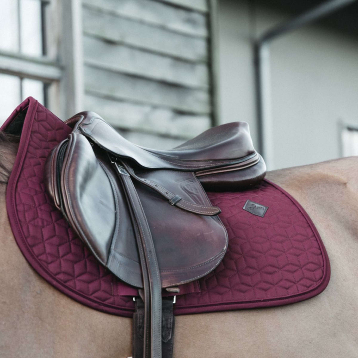 Kentucky Horsewear Mantilla Basic Springen Bordeaux