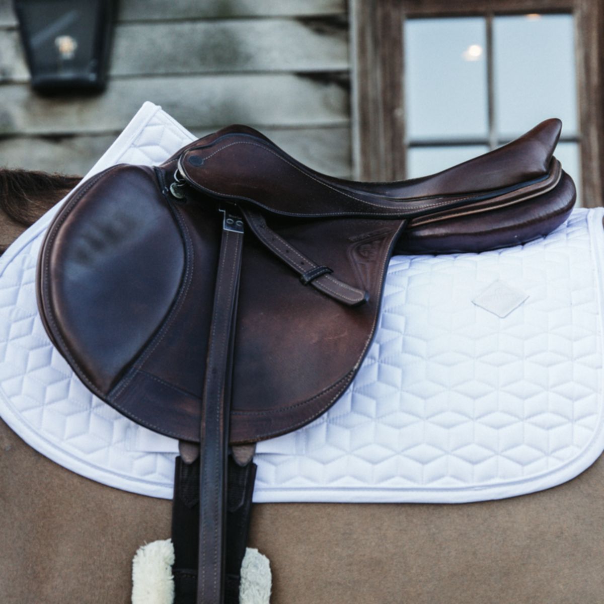 Kentucky Horsewear Mantilla Basic Springen Blanco