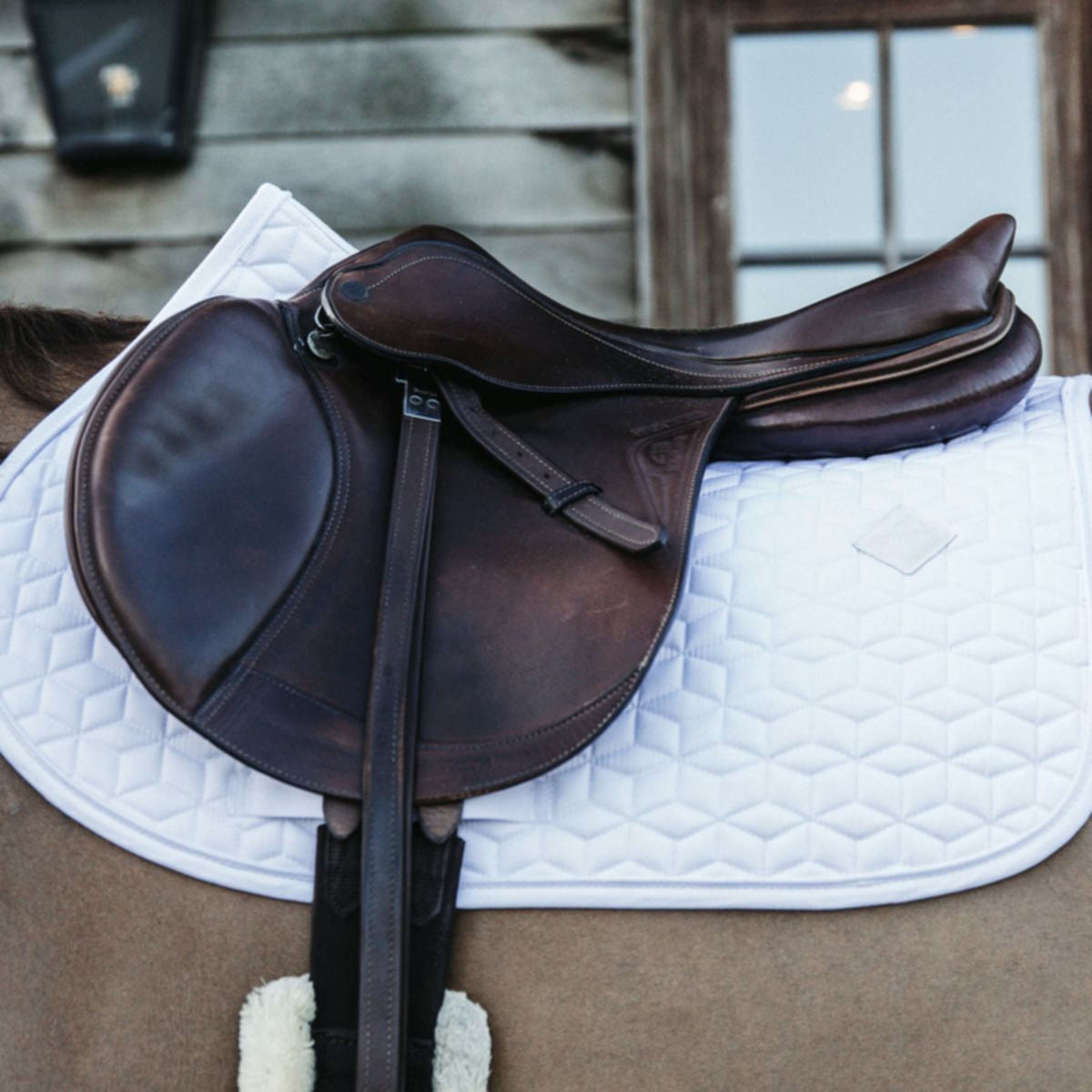 Kentucky Horsewear Mantilla Basic Springen Blanco