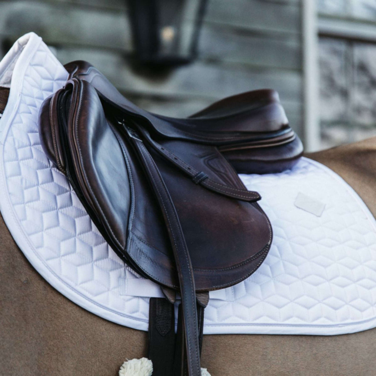 Kentucky Horsewear Mantilla Basic Springen Blanco