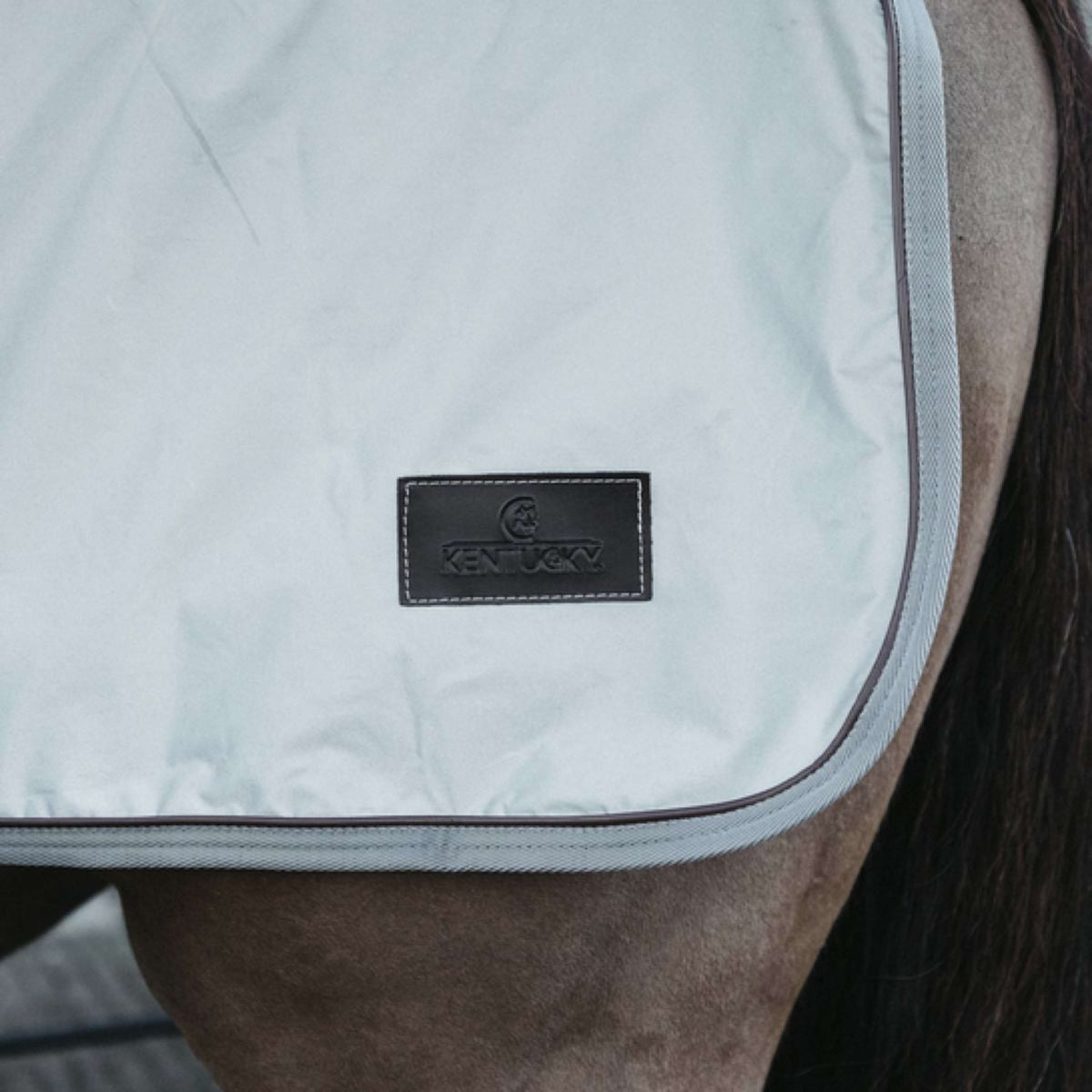 Kentucky Horsewear Manta de ejercicio Reflective Reflective