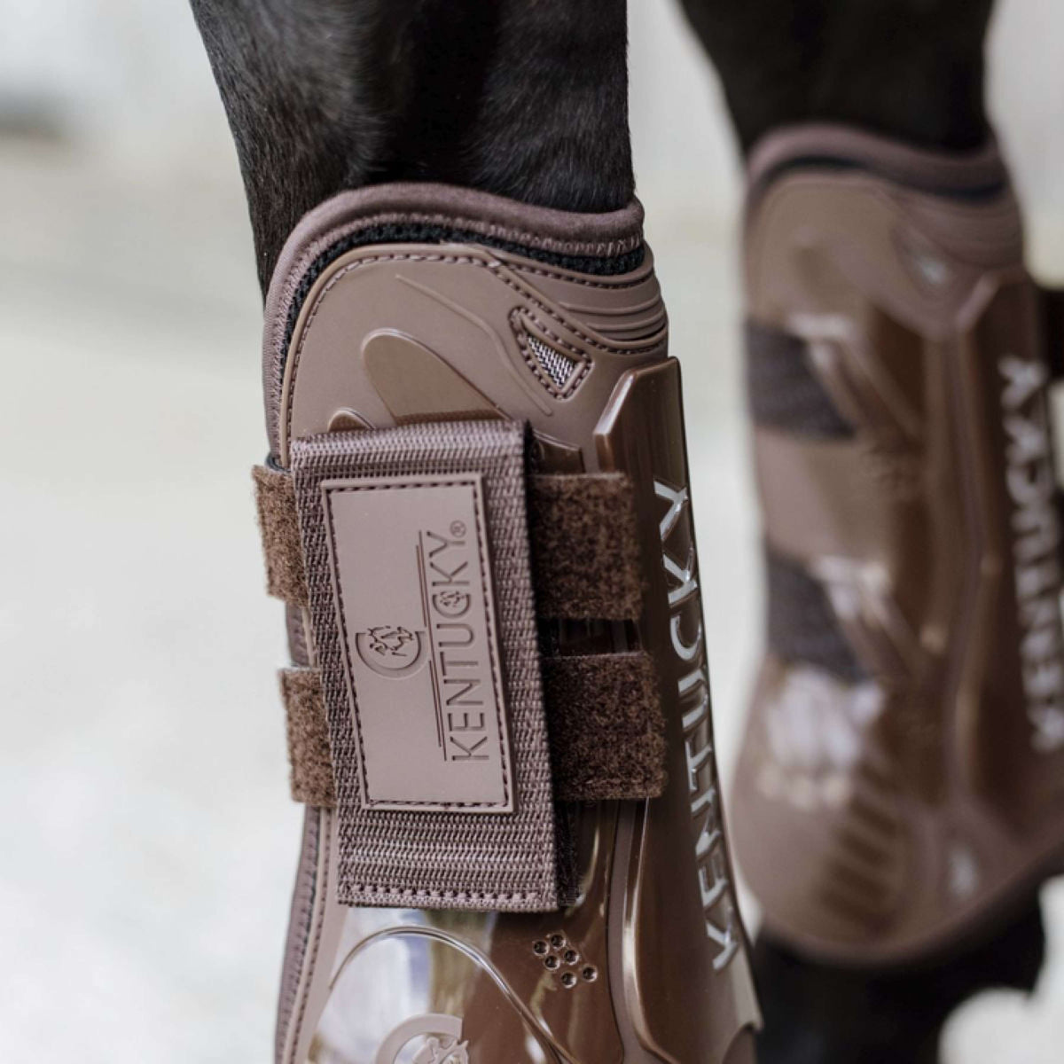 Kentucky Horsewear Botas para tendones Velcro Marron