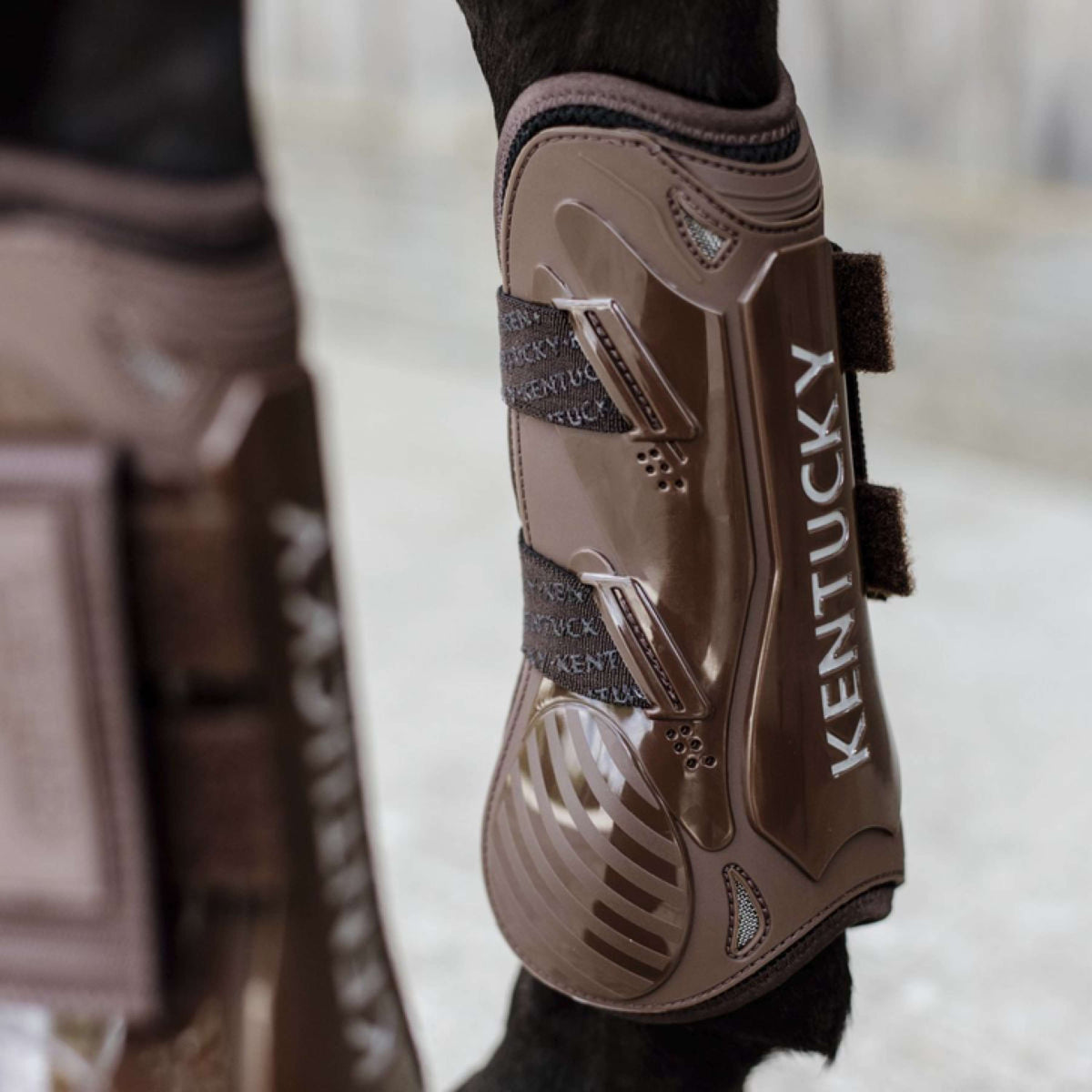 Kentucky Horsewear Botas para tendones Velcro Marron
