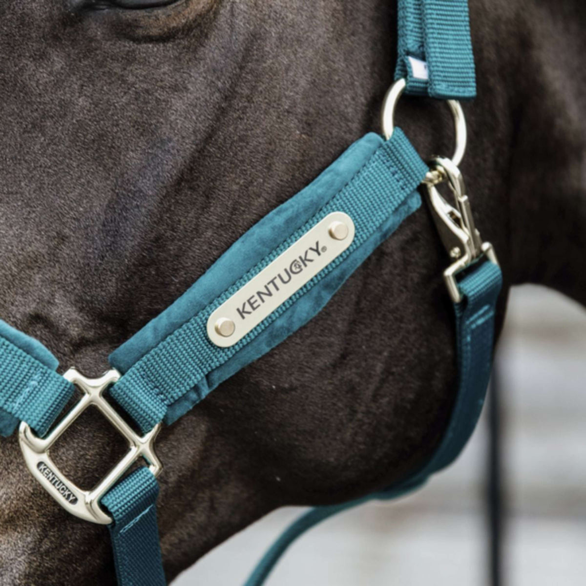 Kentucky Horsewear Cabezada Velvet Esmeralda