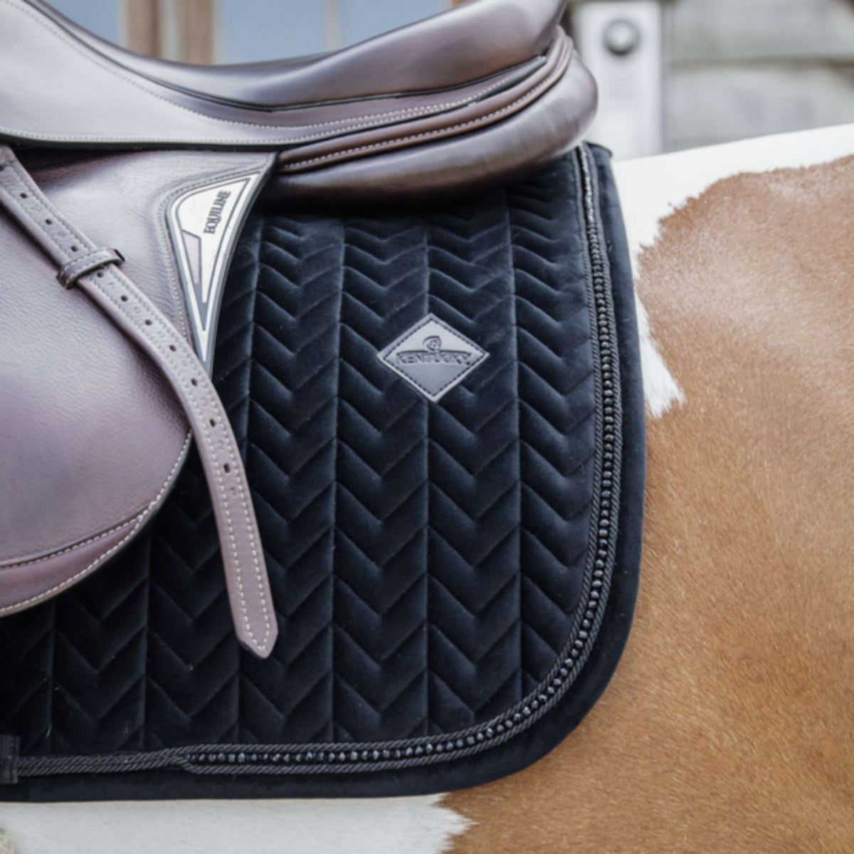 Kentucky Horsewear Mantilla Velvet Pearls Springen Negro