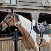 Kentucky Horsewear Mantilla Skin Friendly Velvet Springen Pine Green