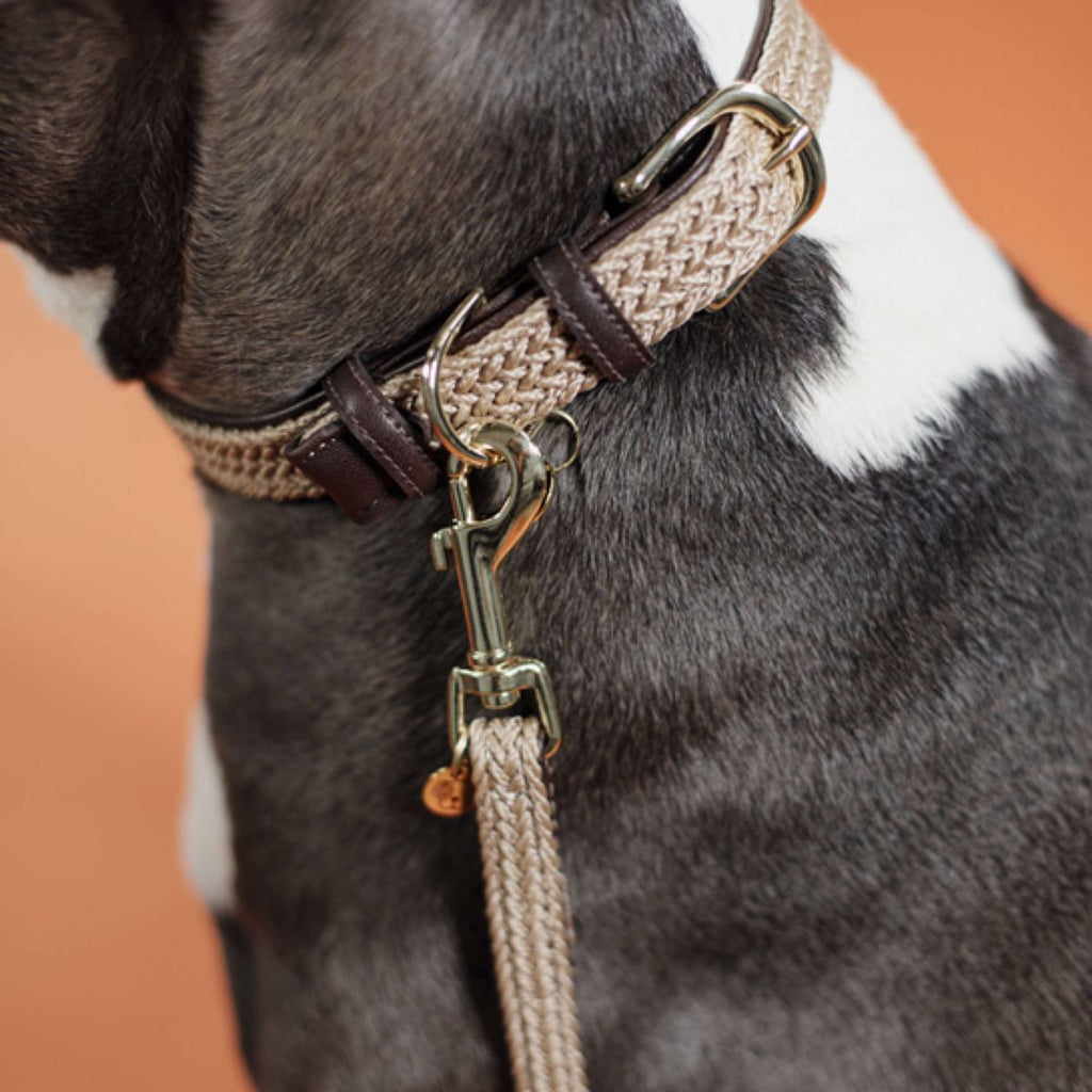 Kentucky Horsewear Collar Beige