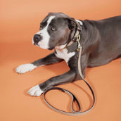 Kentucky Horsewear Collar Beige