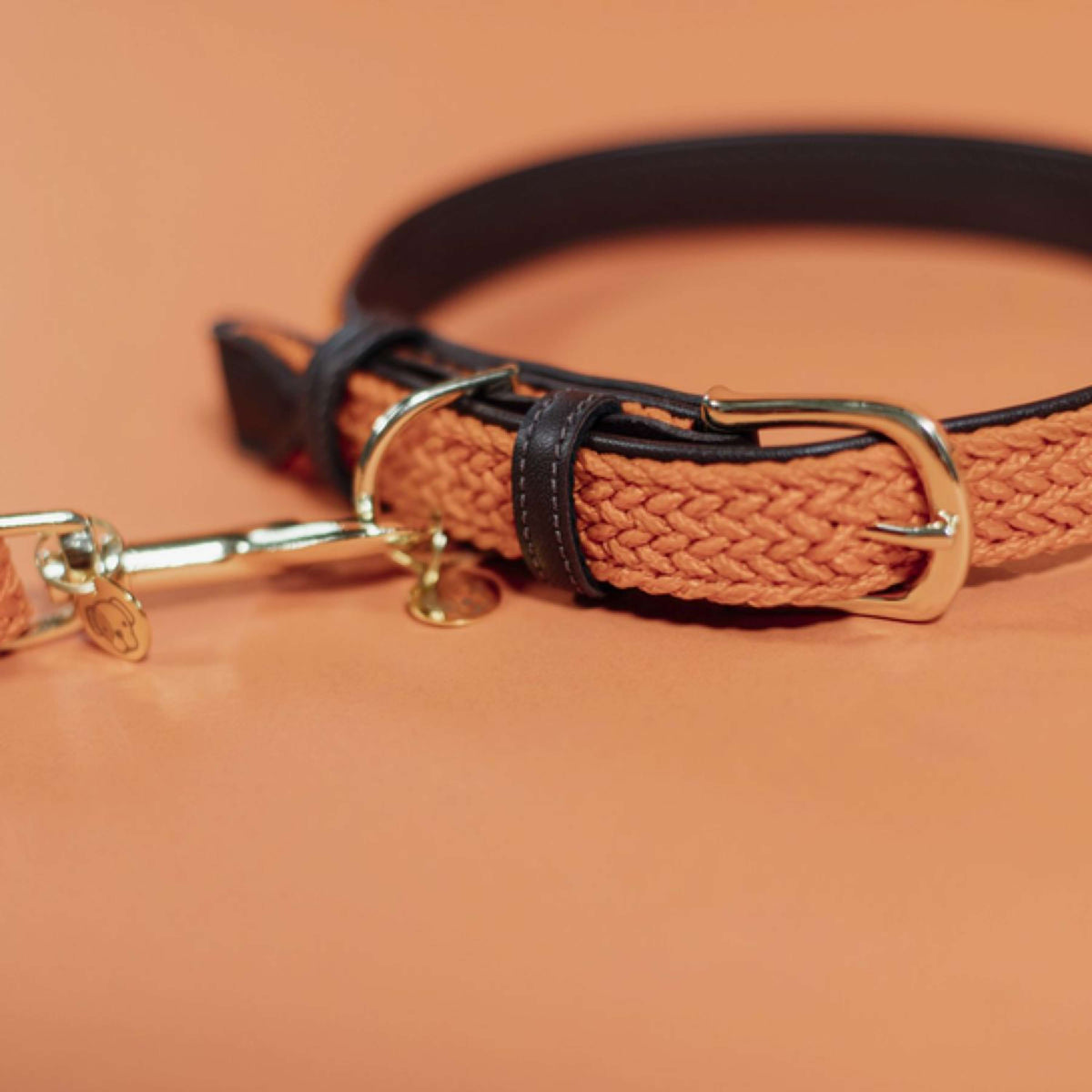 Kentucky Horsewear Halsband Perro Trenzado Nylon Naranja