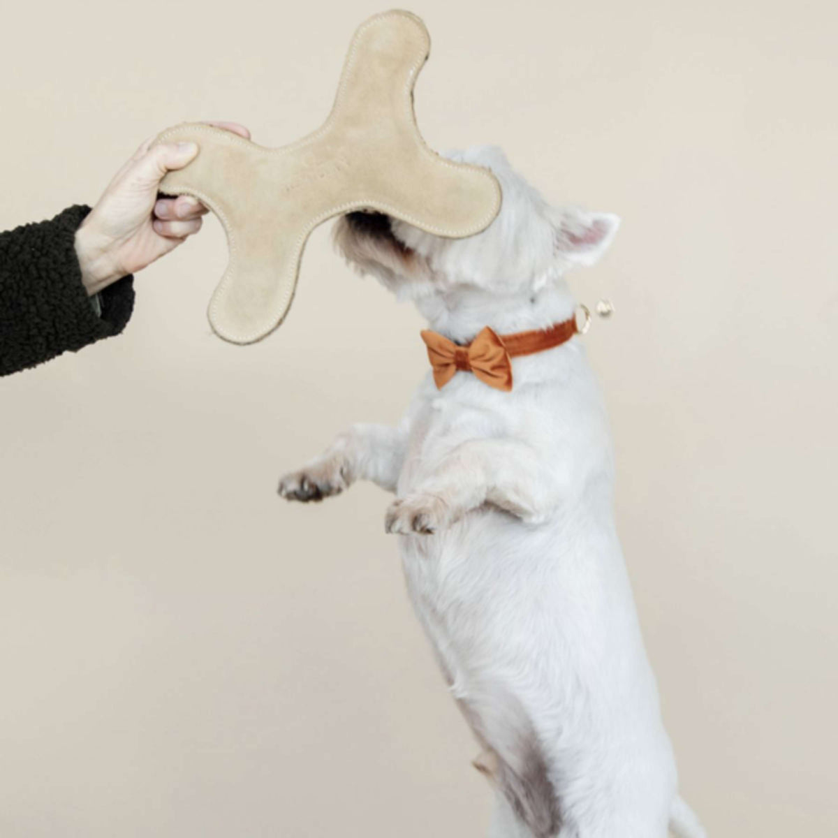 Kentucky Dogwear Juguete para Perro Bone Pastel
