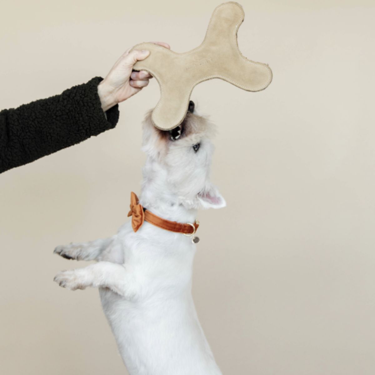 Kentucky Dogwear Juguete para Perro Bone Pastel