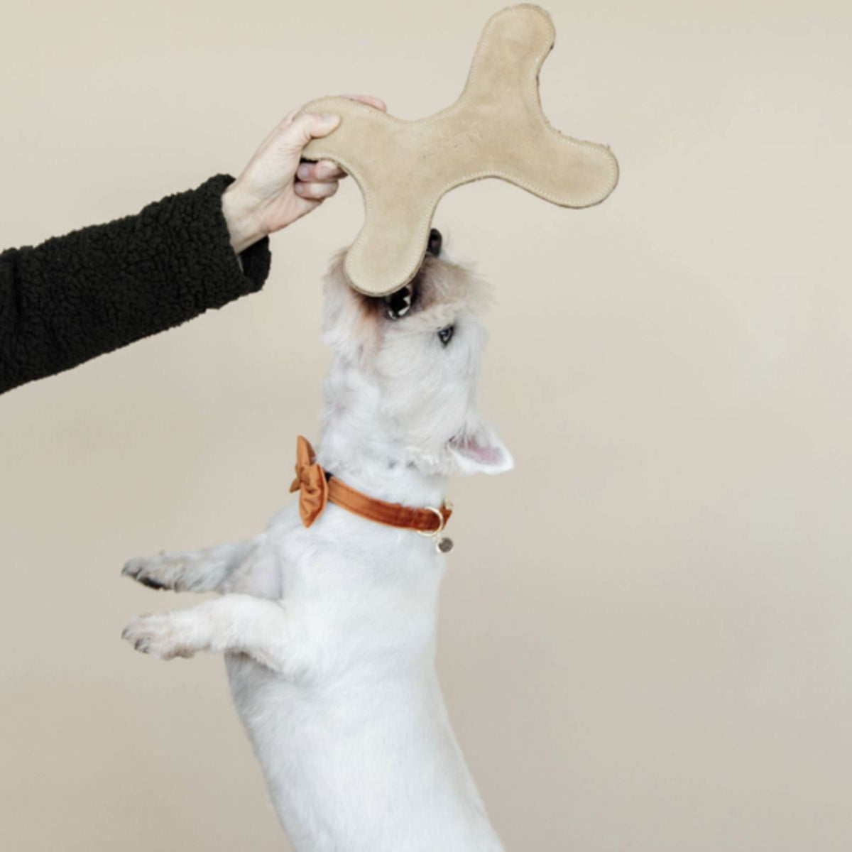 Kentucky Dogwear Juguete para Perro Bone Pastel
