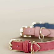 Kentucky Dogwear Collar para Perro Soft Vegan Leather Rojo/Beige
