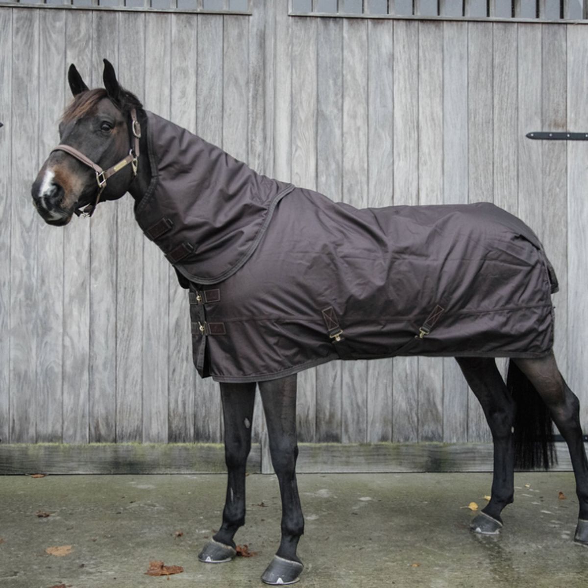 Kentucky Horsewear Turnout All Weather 160g Marron