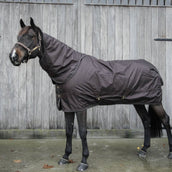 Kentucky Horsewear Turnout All Weather 160g Marron