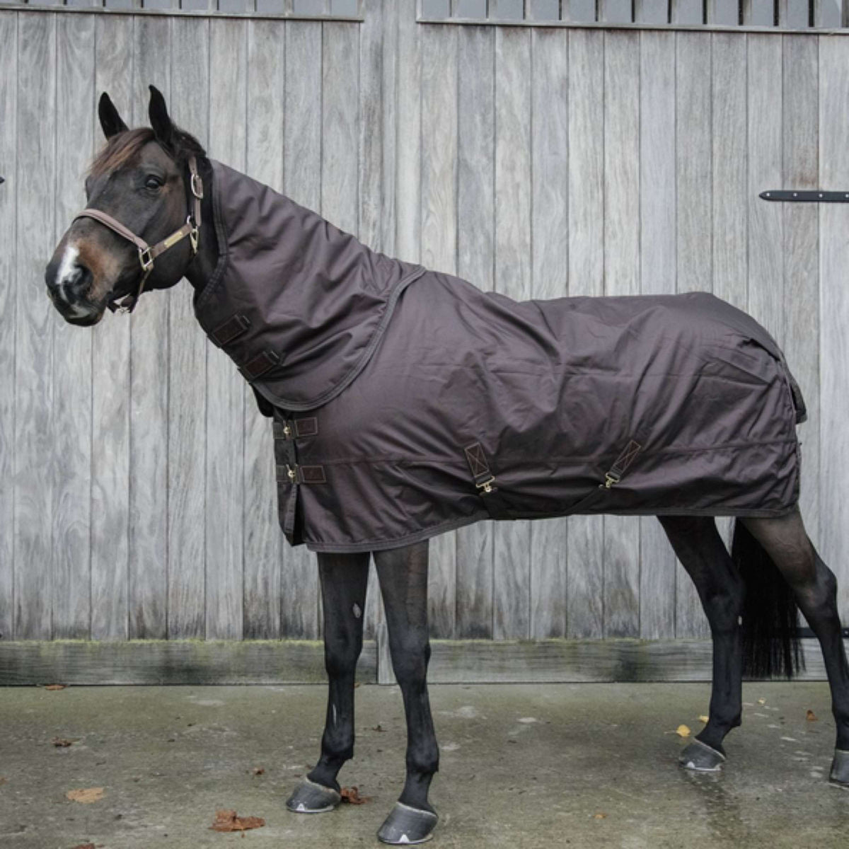 Kentucky Horsewear Turnout All Weather 160g Marron