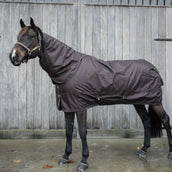 Kentucky Horsewear Turnout All Weather 160g Marron