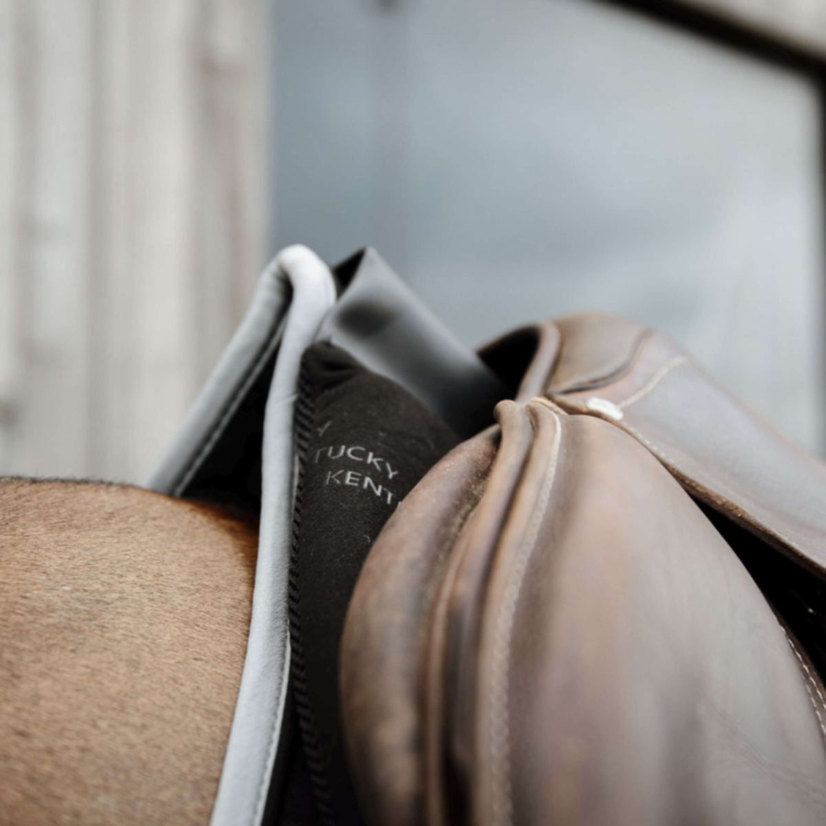 Kentucky Horsewear Mantilla Correction Impact Negro