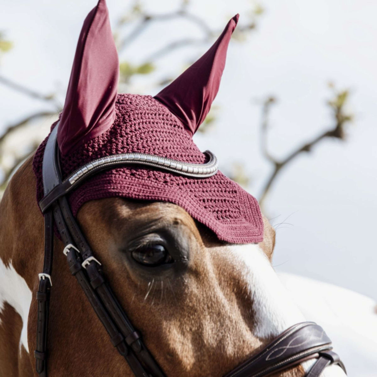 Kentucky Horsewear Bonete para Orejas Wellington Bordeaux