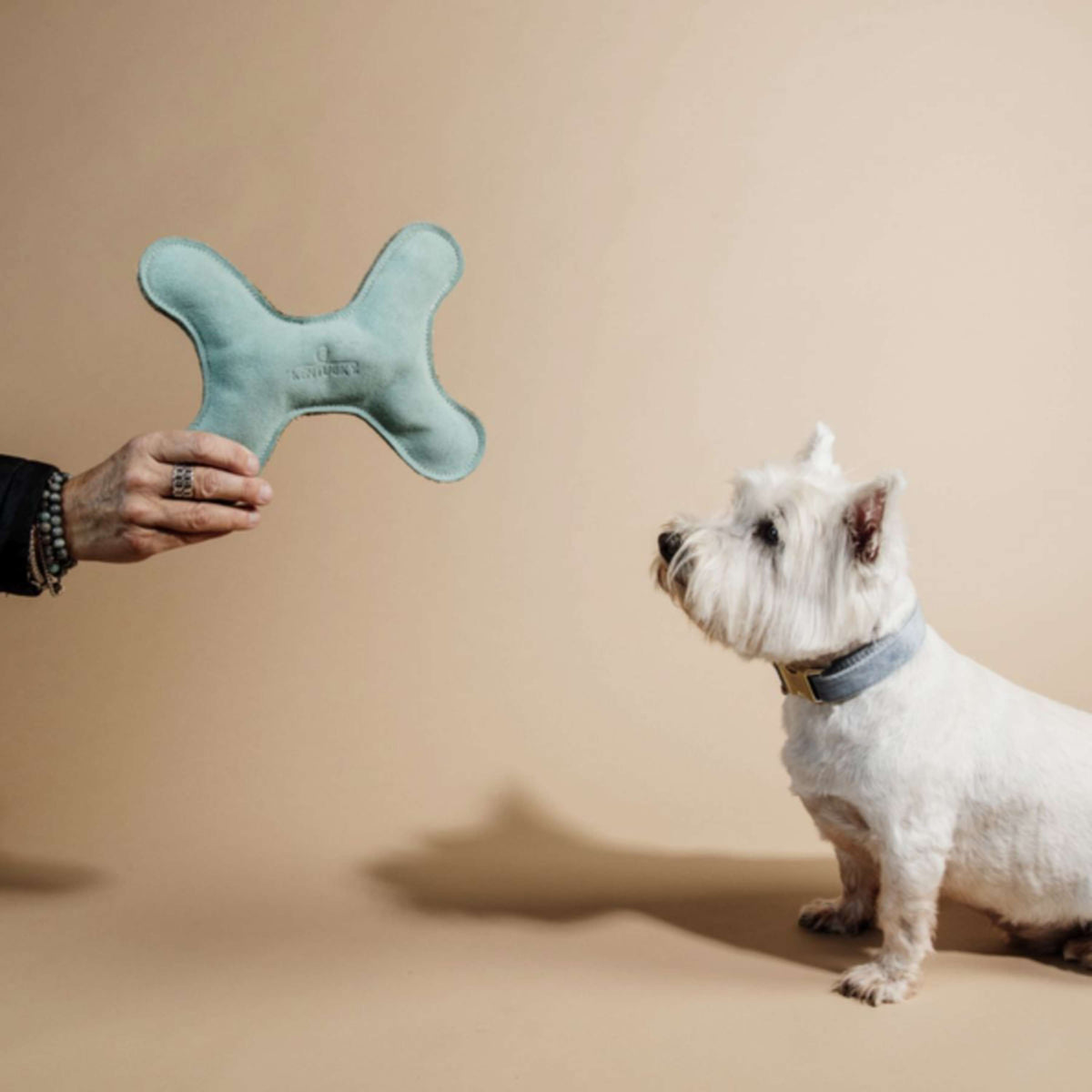 Kentucky Dogwear Juguete para Perro Bone Pastel Esmeralda