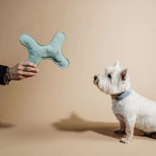 Kentucky Dogwear Juguete para Perro Bone Pastel Esmeralda