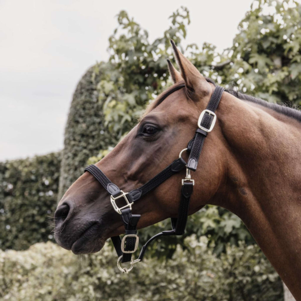 Kentucky Horsewear Cabestro Nylon trenzado Negro