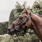 Kentucky Horsewear Cabezada Negro